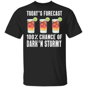 Todays Forecast 100 Dark N Stormy T shirt Cocktail Tee All Day Tee 3