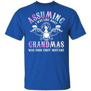 Assuming I Was Like Most Grandmas Was Your First Mistake T Shirts Hoodies Sweatshirt 12