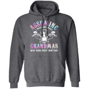 Assuming I Was Like Most Grandmas Was Your First Mistake T Shirts Hoodies Sweatshirt 8