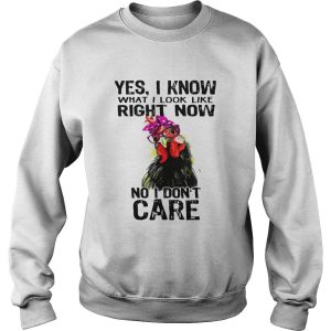 Hen yes I know what I look like right now no I don't care shirt 3