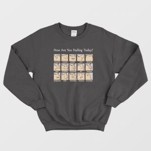 Cat How Are You Feeling Today Sweatshirt