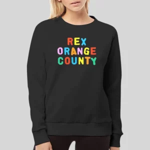 Vintage Inspired Rex Orange County Magnet Hoodie 4