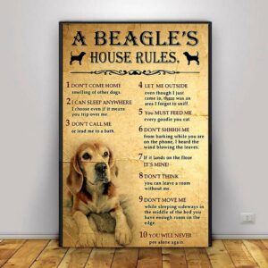 A Beagle house rules poster canvas