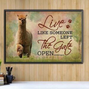 Alpaca live like someone left the gate open canvas