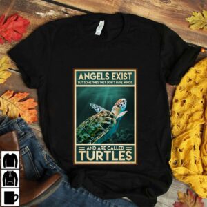 Angels and are called Turtle poster