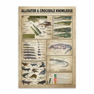 Alligators Crocodiles Knowledge Canvas, Poster