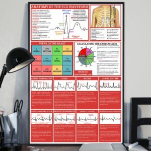 Anatomy Of The ECG Waveform Cardiologist Poster, Canvas