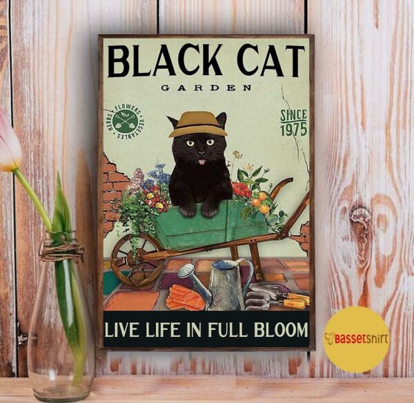 Black Cat garden live life in full bloom poster canvas