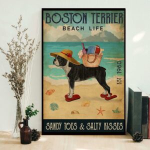 Boston Terrier beach life sandy toes and salty kisses poster canvas