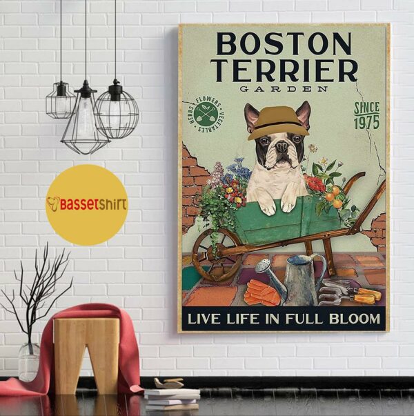 Boston Terrier garden live life in full bloom poster canvas