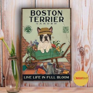 Boston Terrier garden live life in full bloom poster canvas 3