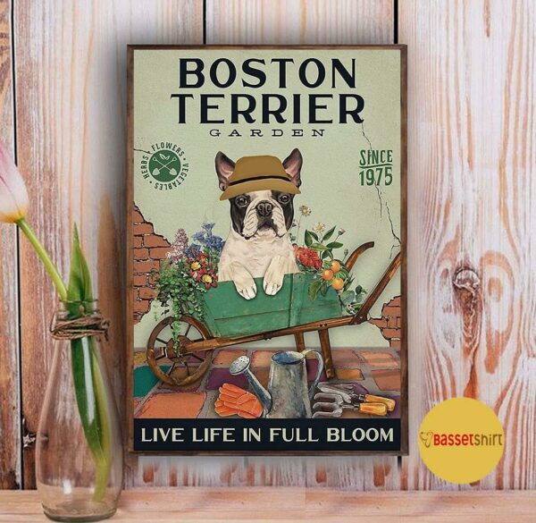 Boston Terrier garden live life in full bloom poster canvas