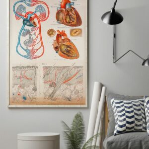 Human Heart Anatomical Cardiologist Poster Canvas 4