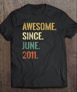 11Th Birthday 11 Years Old Awesome Since June 2011 Vintage 1