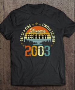 Awesome Since February 2003 Vintage 20Th Birthday 1