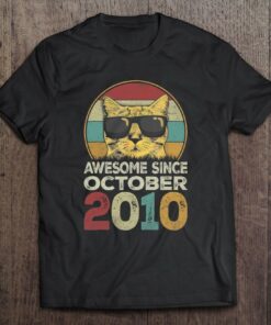 Awesome Since October 2010 13Th Birthday Gifts Cat Lovers 1