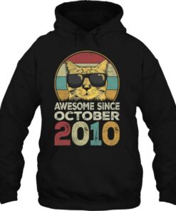 Awesome Since October 2010 13Th Birthday Gifts Cat Lovers 3