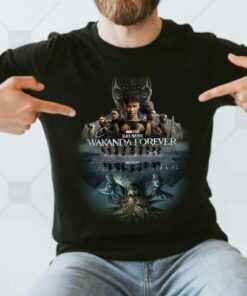 Black Panther 2 T Shirt The King Of Wakanda 1