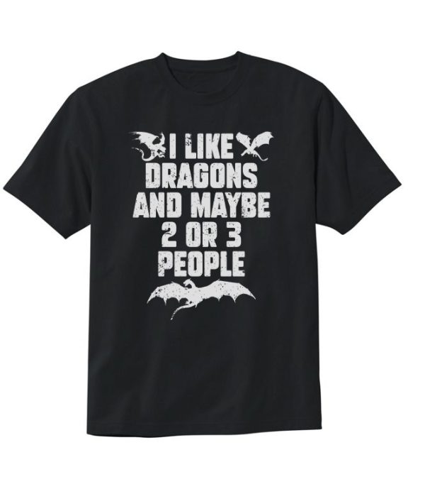 I Like Dragons and Maybe 2 or 3 People T-Shirt