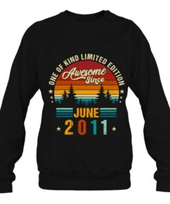 Vintage 11Th Birthday Awesome Since June 2011 Epic Legend 4