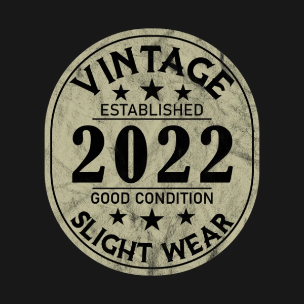 Vintage Established 2022 Good Condition Slight Wear T-Shirt