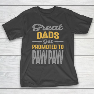 Father’s Day Funny Gift Ideas Apparel  Dads T Shirt T-Shirt