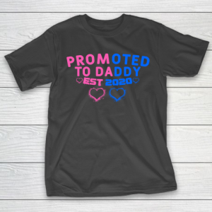 Father’s Day Funny Gift Ideas Apparel  Promoted to Daddy est 2020 T Shirt T-Shirt