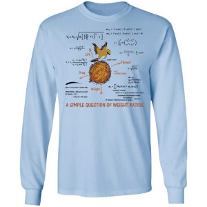 A Simple Question Of Weight Ratios Funny Math Teacher T Shirts Hoodies Sweater 4