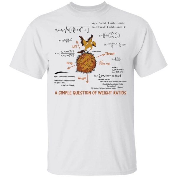 A Simple Question Of Weight Ratios Funny Math Teacher T-Shirts, Hoodies, Sweater