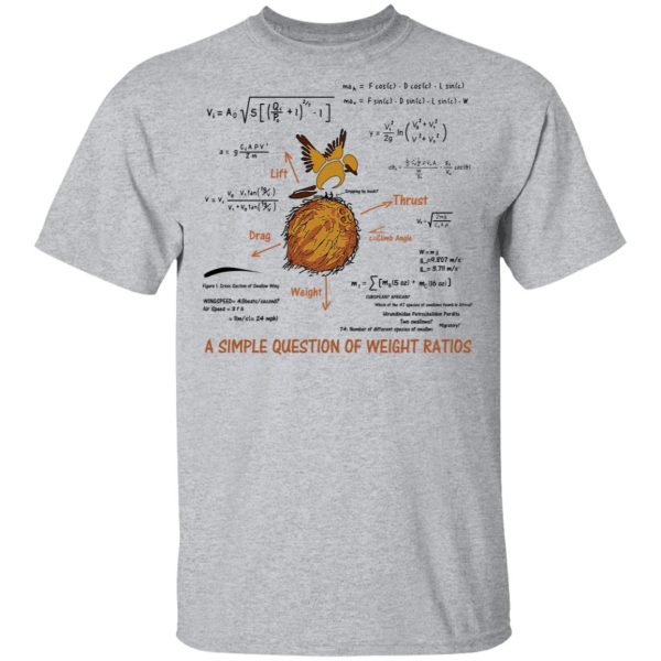 A Simple Question Of Weight Ratios Funny Math Teacher T-Shirts, Hoodies, Sweater