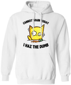 Cat Cannot Brain Today I Haz The Dumb Shirt 8 Cat Cannot Brain Today I Haz The Dumb Shirt 6