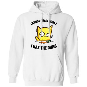 Cat Cannot Brain Today I Haz The Dumb Shirt 6