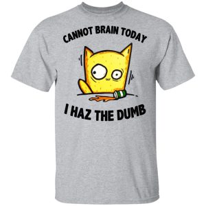 Cat Cannot Brain Today I Haz The Dumb Shirt 9