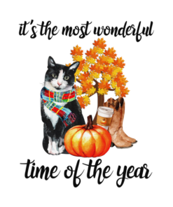 Cat its the most wonderful time of the year Halloween T shirt 2