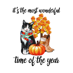 Cat its the most wonderful time of the year Halloween T shirt 2