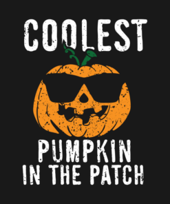 Coolest Pumpkin In Patch Halloween Gift product T shirt 2