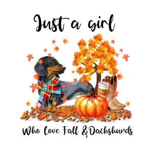 Dachshund Scarf Autumn Just a girl who love fall and Dachshund T shirt 2