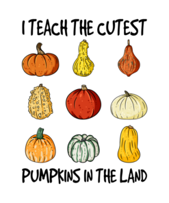 Halloween I teach the cutest pumpkins in the land t-shirt 1 Halloween I teach the cutest pumpkins in the land t shirt 2
