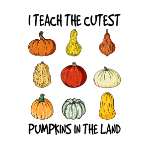 Halloween I teach the cutest pumpkins in the land t-shirt