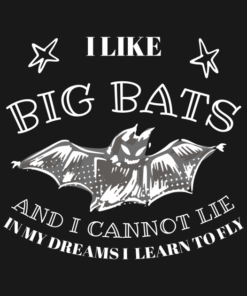 Halloween bat I like big bats and I cannot lie in my dreams I learn to fly T shirt 2