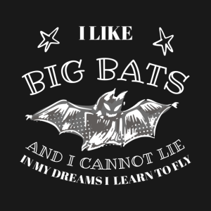 Halloween bat I like big bats and I cannot lie in my dreams I learn to fly T-shirt