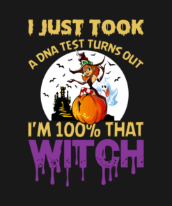 I just took a DNA test turns out Im 100 that Witch T shirt 3
