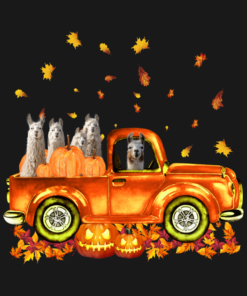 Llama Pumpkin Car Autumne Halloween T Shirt 2