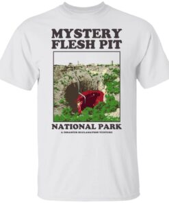 Mystery Flesh Pit National Park A Disaster Reclamation Venture Shirts Hoodies Long Sleeve 3
