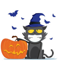 Pumpkin and cat funny Halloween T-shirt 1 Pumpkin and cat funny Halloween T shirt 2