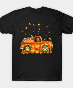 Sloth Pumpkin Car Autumne Halloween T Shirt 1