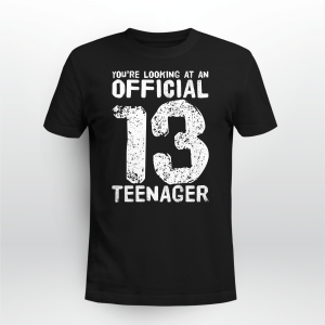 13 Nager 13Th Birthday Boy Girl