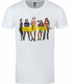 Birds Of Prey Group Shot Mens White T Shirt 1