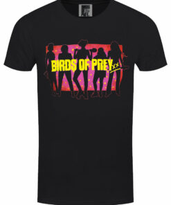 Birds Of Prey Silhouette Mens Black T Shirt 1