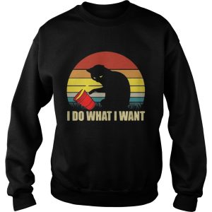 Cat I do what I want sunset shirt 3